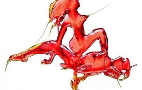 Нелепые наряды российских звезд. Костюм пчеловода, Арлекин и другие нелепые наряды российских звёзд 2020 года