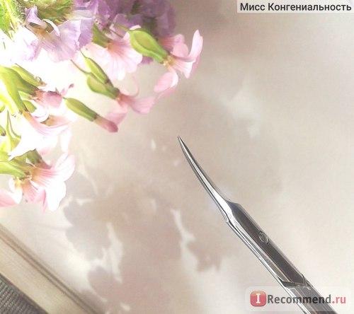 Тонкие ножницы для кутикулы. Ножницы или кусачки – вот в чем вопрос? Мега-тонкие ножницы для кутикулы!