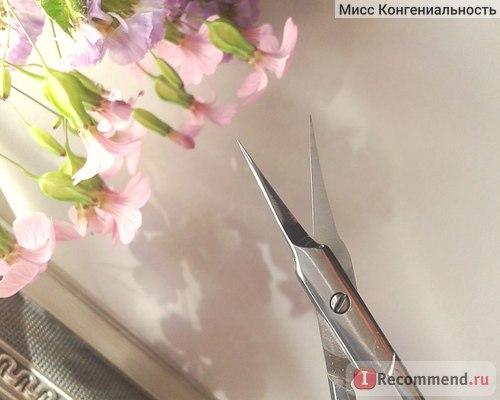 Тонкие ножницы для кутикулы. Ножницы или кусачки – вот в чем вопрос? Мега-тонкие ножницы для кутикулы!