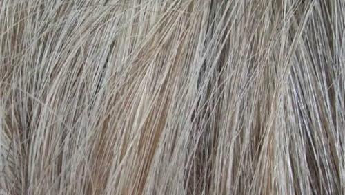 Как покрасить корни после мелирования. Мелирование на отросшие корни – фото, отзывы, цены, плюсы и минусы