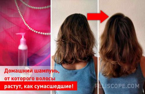 От чего растут волосы, как сумасшедшие дни. Домашний шампунь, от которого волосы растут, как сумасшедшие!