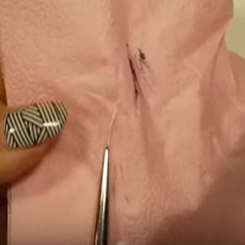 Как ухаживать за кистями для гель лака. НОВАЯ КИСТЬ. ПОДГОТОВКА УХОД РАБОТА ХРАНЕНИЕ