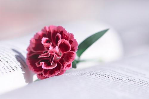 10 мудрых советов женщинам, основанных на личном опыте