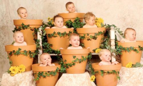 Мама в декрете приколы. Вы мамочка в декрете, если...