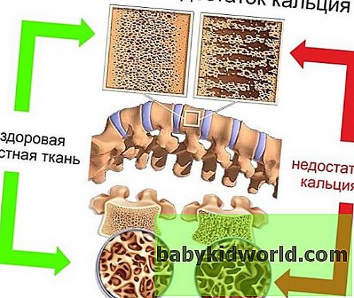 Польза кальция для женщин. Суточная потребность в кальции 02