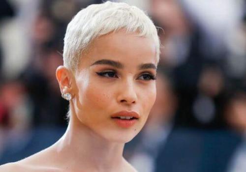 Короткие стрижки 2019 женские. Фото новинок коротких женских стрижек в 2019 году