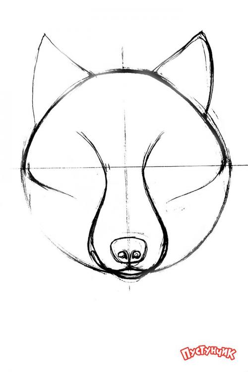 Как нарисовать волка. Как нарисовать портрет волка карандашом
шаг за шагом