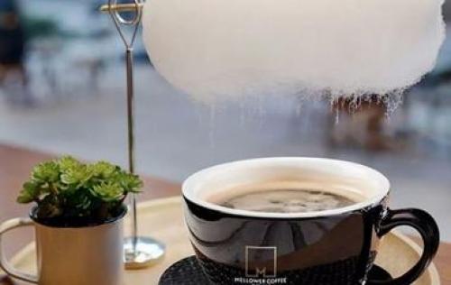 Хайлайтер для тела. Хайлатер для тела своими руками, из-за которого любительницы косметики потеряют головы