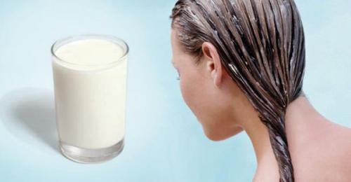 Маски для жирных волос. Кефирные маски для жирных волос 05 Маски для жирных волос. Кефирные маски для жирных волос 05