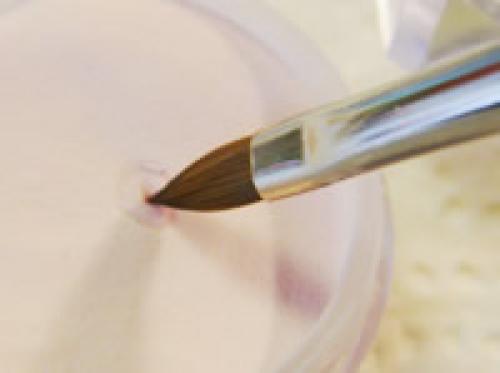 Рисунки 3д на ногтях. Объемные рисунки на ногтях: инструкция