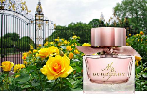 Самый модный аромат для женщин. 21 Самый модный аромат для женщин. 21