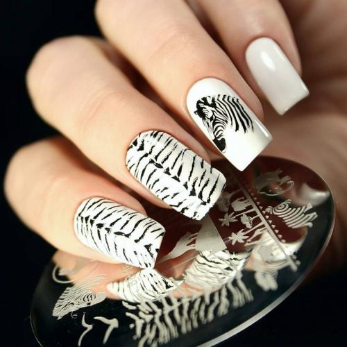 Животные на ногтях маникюр. Модные тенденции маникюра с животными