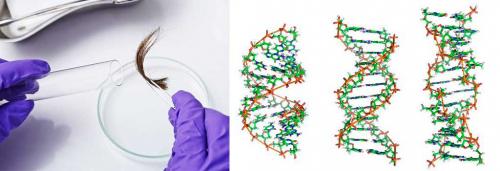 Как сделать волосы длинными и густыми. Для справки 11