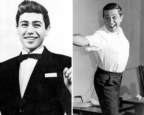 Дети Петросяна. Кратко об артисте и его творческой деятельности