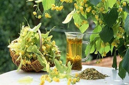 Как быстро растут ногти на ногах. Как быстро отрастить для педикюра ногти на ногах 02 Как быстро растут ногти на ногах. Как быстро отрастить для педикюра ногти на ногах 02