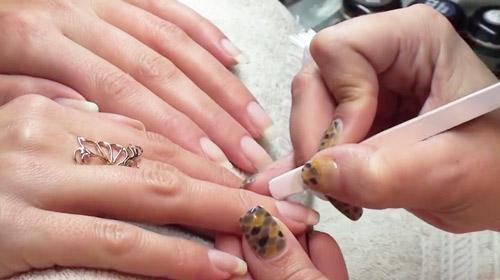 Как наносить биогель. Как правильно наносить