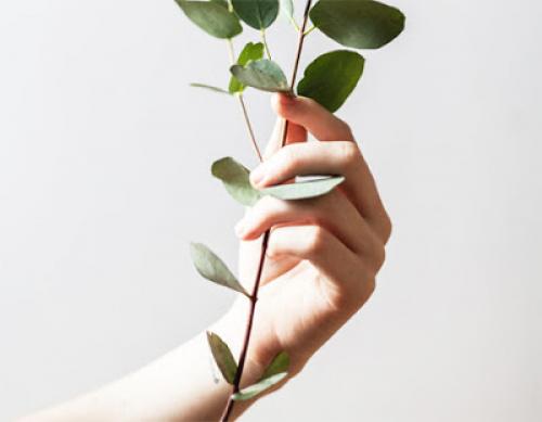 Сухая кутикула. Сохнет кутикула: что делать? 10 заповедей нежных ручек