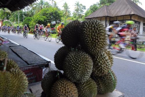 Самые странные правила этикета в разных странах. Странные правила в разных странах мира (15 фото)