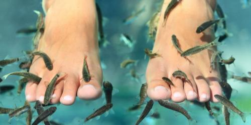 Рыбки которые ноги чистят. Что такое фиш-пилинг