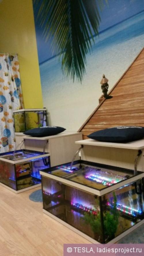 Рыбки которые ноги чистят. Что такое фиш-пилинг 04 Рыбки которые ноги чистят. Что такое фиш-пилинг 04