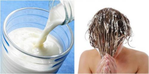 Маска от сухой перхоти. Эффективные маски от сухой перхоти