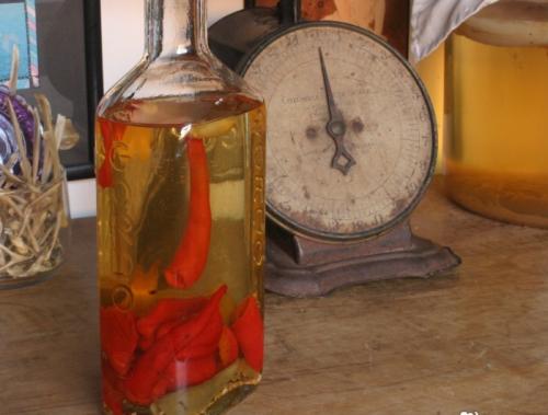 Средство от выпадения волос в домашних условиях. Самые эффективные народные средства от выпадения волос: рецепты