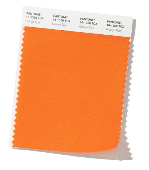 Цвет 2020 года по версии Pantone. Неделя моды в Нью-Йорке Осень / Зима 2019/2020