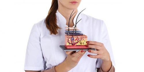 Что назначает трихолог при выпадении волос. Наука трихология: лечение выпадения волос —, что делать, как лечить и защитить себя от потери прядей?