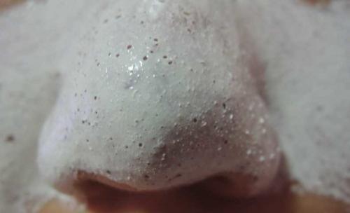 Маска для лица из алоэ от морщин в домашних условиях. Самые лучшие маски 11 Маска для лица из алоэ от морщин в домашних условиях. Самые лучшие маски 11