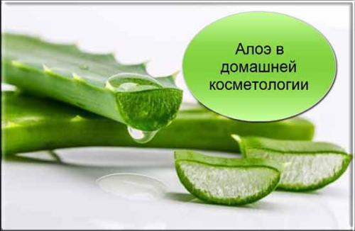Маска для лица из свежего алоэ. Польза алоэ для лица