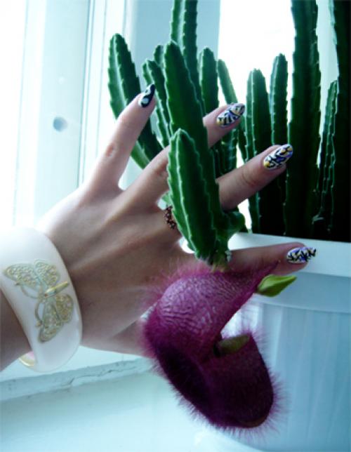 Иероглиф на ногтях. Нейл-арт: иероглифы на ногтях