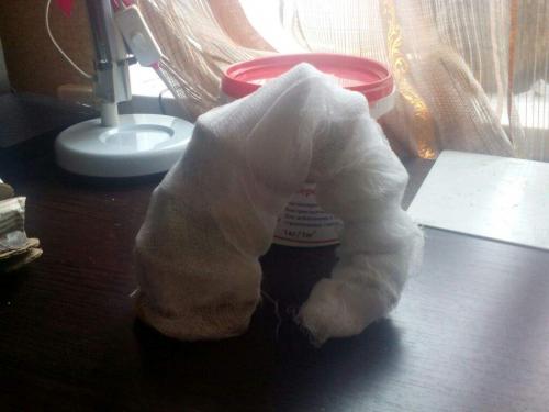 Как сделать Рога оленя. Новогодний олень своими руками: несколько простых вариантов изготовления 09 Как сделать Рога оленя. Новогодний олень своими руками: несколько простых вариантов изготовления 09