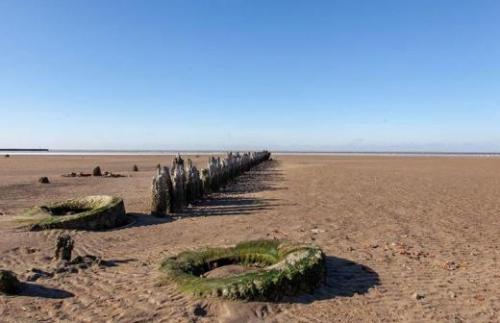 2019 год в каком цвете встречать Новый год. В каком цвете встречать Новый 2019 год 11 2019 год в каком цвете встречать Новый год. В каком цвете встречать Новый 2019 год 11