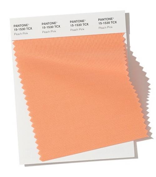 Цвета Пантон Осень. Модные цвета осень-зима 2019-2020 по версии Pantone