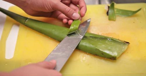 Алоэ вера маска для лица. Польза от применения масок с алоэ