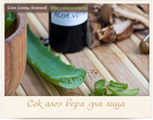 Алоэ для лица. Эффективное применение сока алоэ для лица — свойства и рецепты