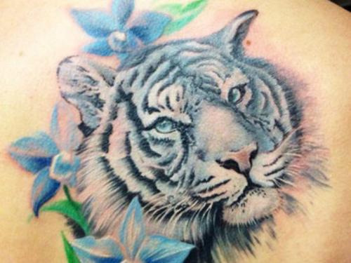 Значение татуировки тигр. Татуировка тигр
