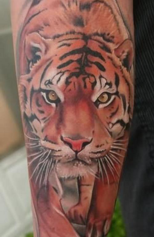 Значение татуировки тигр. Татуировка тигр