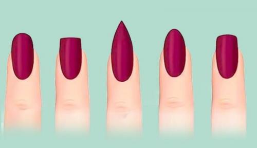 Наращивание на верхние формы обучение. Технология наращивания на верхних формах — руководство