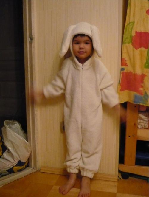 Ушки зайчика для мальчика. Костюм зайчика своими руками — простые и оригинальные варианты пошива и главное, что можно использовать, чтобы сделать костюм смотрите в обзоре с фото!