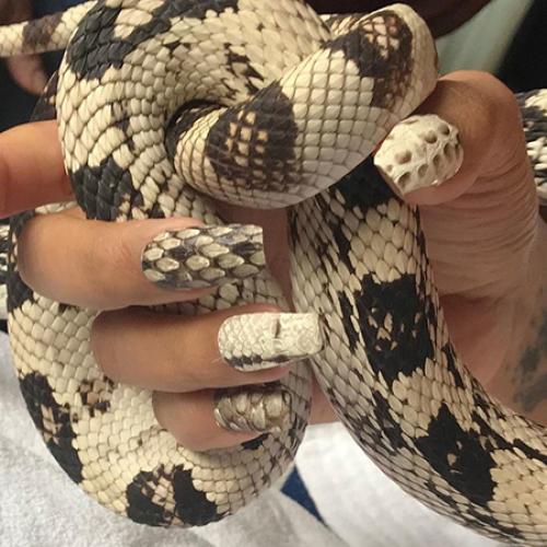 Звездное небо ногти. Создаем звездное небо на ногтях 12