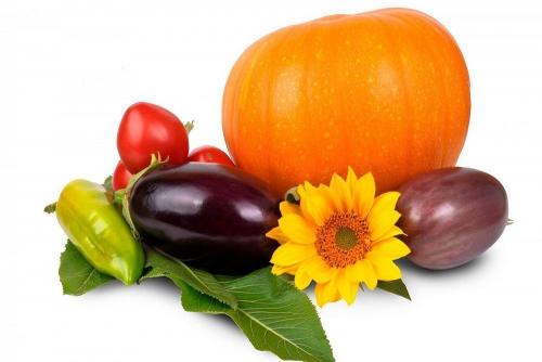 Что делать, если сухая кожа вокруг ногтей: эффективные советы 06