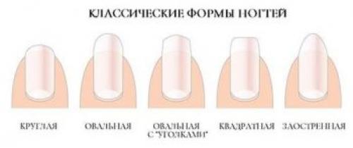 Как сделать френч в домашних условиях на коротких ногтях. Рисуем френч на коротких ногтях