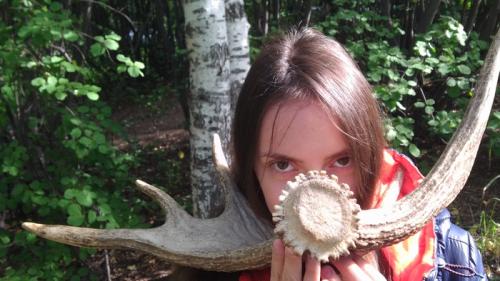 Как отпилить рога лося. Мои инструменты для резьбы по кости!