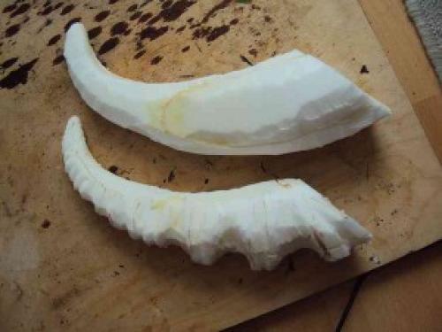 Как сделать рога демона в домашних условиях. Как сделать рога