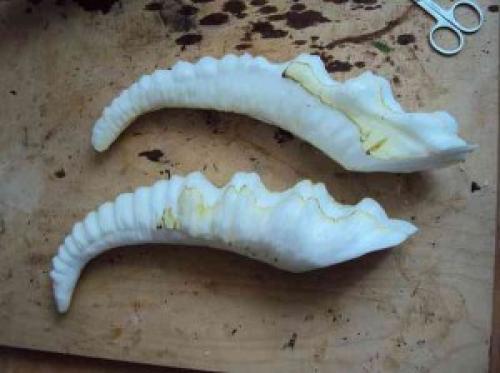 Как сделать рога демона в домашних условиях. Как сделать рога