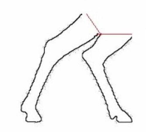 Как сделать оленя для сада. Олень из проволоки и гирлянды своими руками. Эскиз, схема