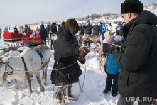 Продать рога в китай. Как устроен черный рынок рогов оленей — «лекарства от смерти»
