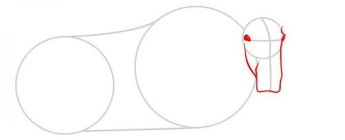 Как нарисовать рога лося. Лось — рисунок для детей карандашом поэтапно