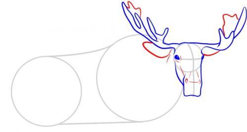 Как нарисовать рога лося. Лось — рисунок для детей карандашом поэтапно